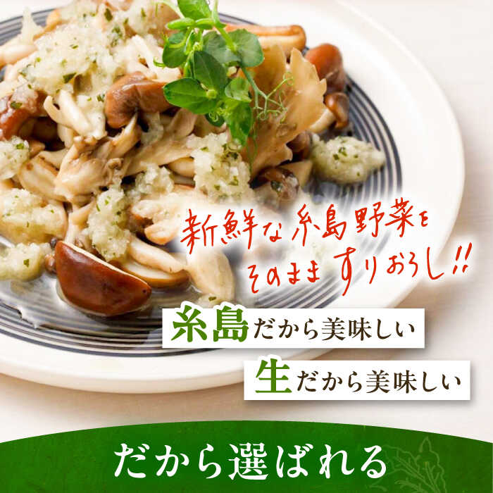 【ふるさと納税】【全3回定期便/奇数月】糸島野菜を食べる生ドレッシング おまかせ3本セット 糸島市 / 糸島正キ[AQA092] サムネイル3