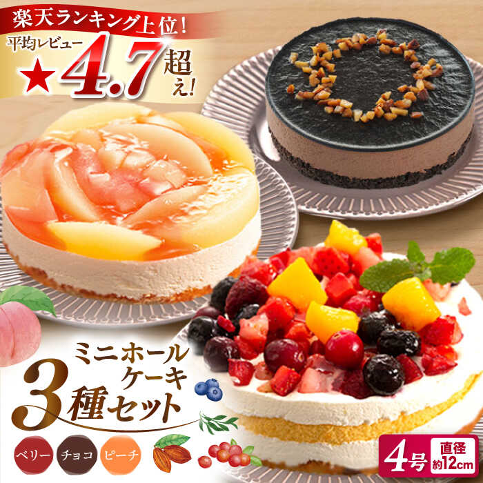 フルーツ / チョコムース / レアチーズ ミニ ホールケーキ 3種 冷凍 糸島市 / 五洋食品産業 [AQD017] スイーツ 洋菓子 11000円 1万1千円