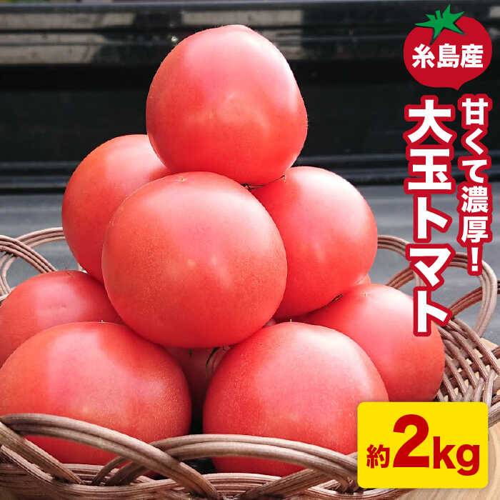 甘くて濃厚！糸島産 大玉 トマト 2kg【大櫛トマトファーム】とまと 糸島野菜 やさい [AQH001] 常温 10000円 1万円