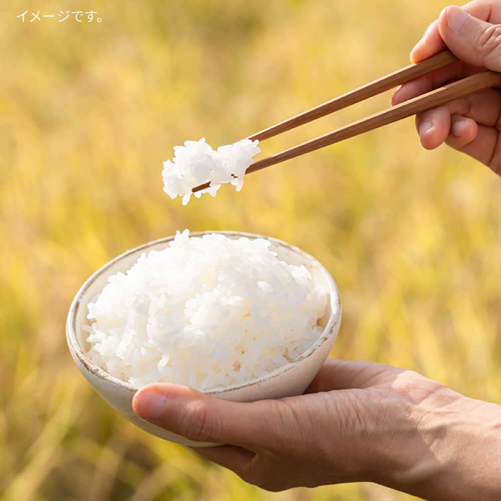 【ふるさと納税】【選べるキロ数・回数 】糸島特別栽培米コシヒカリ 3kg/5kg 《糸島》【itoshimacco《(株)やました》】 [ARJ021] 常温 いとしまっこ 15000円 1万5千円 - 画像3
