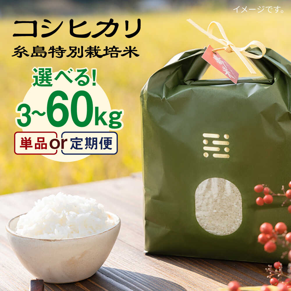 【選べるキロ数・回数 】糸島特別栽培米コシヒカリ 3kg/5kg 《糸島》【itoshimacco《(株)やました》】 [ARJ021] 常温 いとしまっこ 15000円 1万5千円