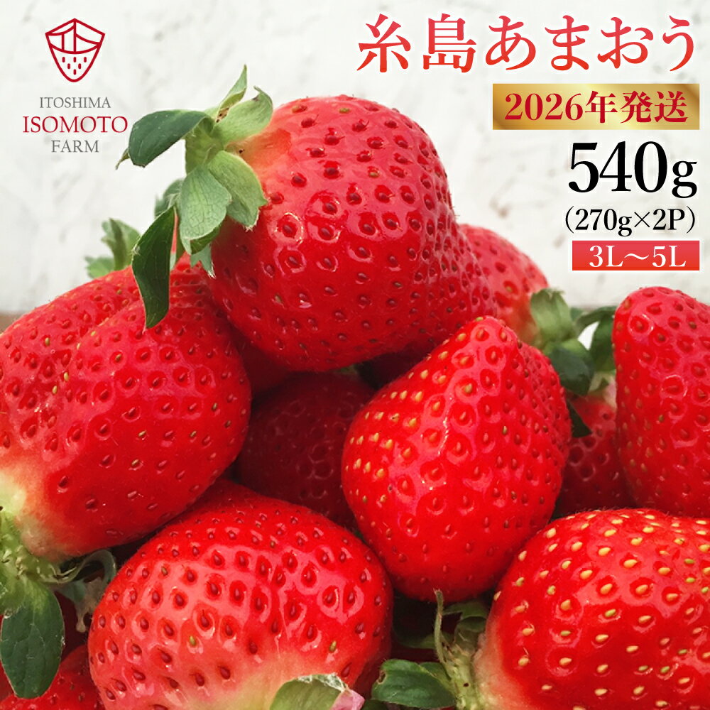 糸島の美味いあまおう 270g × 2パック (A品B品含む3L〜5L)糸島市 / 磯本農園 / TANNAL [ATB003] いちご 苺 イチゴ 11000円 1万1千円