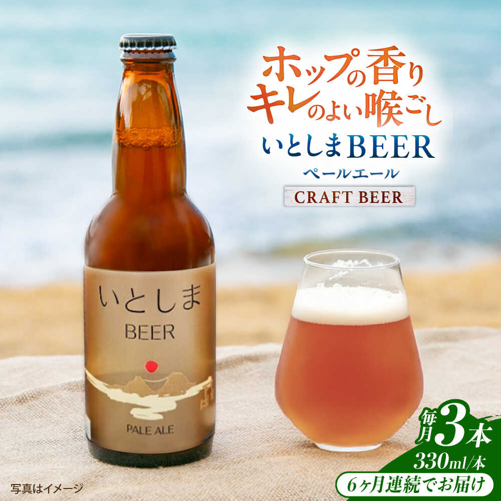 【全6回定期便】 いとしまBEER (ペールエール) 330ml×3本 糸島市 / 蔵屋 クラフトビール[AUA048] クラフトビール ビール 常温 53000円 5万3千円