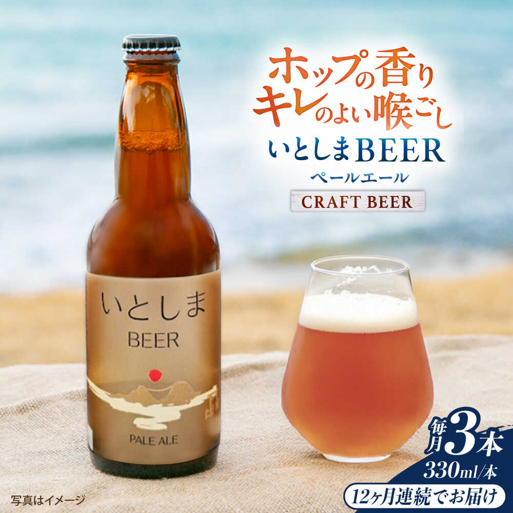 【全12回定期便】 いとしまBEER (ペールエール) 330ml×3本 糸島市 / 蔵屋 クラフトビール[AUA049] クラフトビール ビール 常温 100000円 10万円