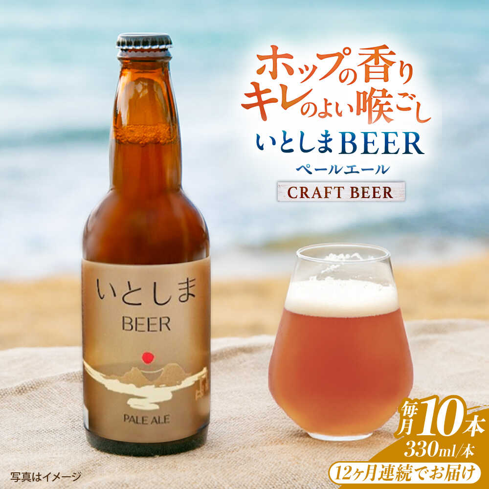 【全12回定期便】いとしまBEER (ペールエール) 330ml×10本 糸島市 / 蔵屋 クラフトビール[AUA058] クラフトビール ビール 常温 200000円 20万円