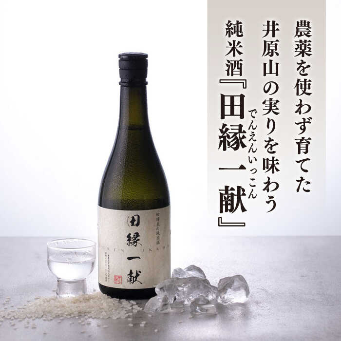 【ふるさと納税】無農薬で育てたお米で作った日本酒 『田縁一献（でんえんいっこん）』720ml×1本 糸島市 / NPO法人田縁プロジェクト [AUM002] 常温 純米酒 サムネイル2