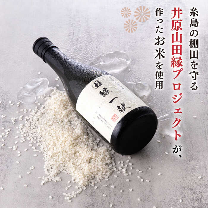 【ふるさと納税】無農薬で育てたお米で作った日本酒 『田縁一献（でんえんいっこん）』720ml×1本 糸島市 / NPO法人田縁プロジェクト [AUM002] 常温 純米酒 サムネイル3