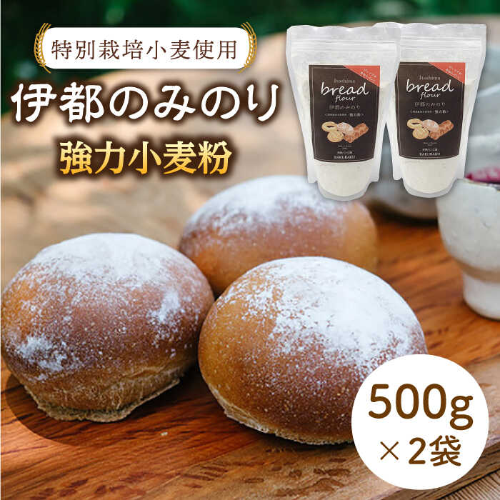 特別栽培小麦使用 伊都のみのり 小麦 強力粉 パン 糸島 500g×2袋【天然パン工房楽楽】 いとしまごころ [AVC002] 常温 9000円 9千円