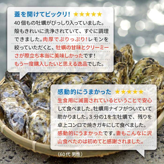 【ふるさと納税】福岡県糸島産 殻付き牡蠣 加熱用 3kg(40粒前後) 糸島市 / 日進丸 牡蛎 カキ[AWA006-4] 16000円 サムネイル3