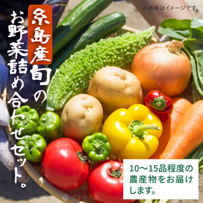 【ふるさと納税】福岡県 糸島産 旬の野菜盛り合わせセット 糸島市 / ファームパーク伊都国 [AWC006] 15000円 1万5千円 - 画像2