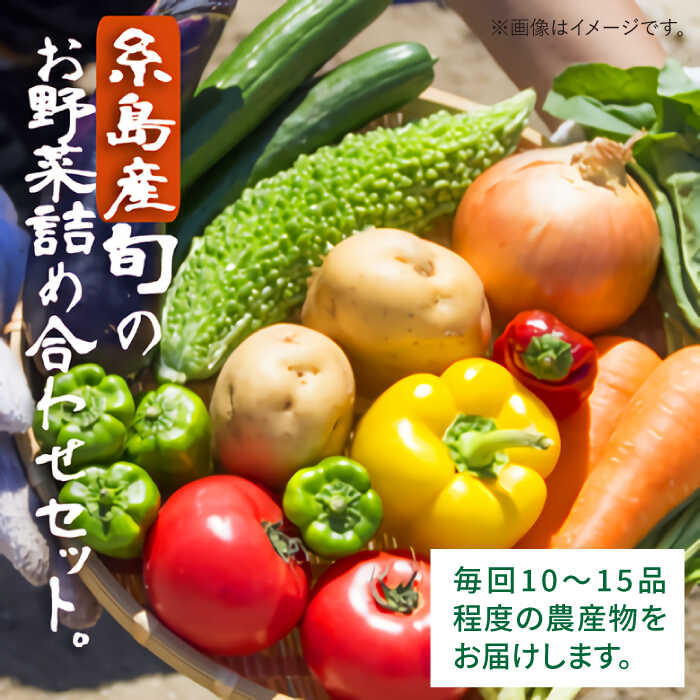 【ふるさと納税】【全12回定期便】福岡県糸島産 旬の野菜盛り合わせセット 糸島市 / ファームパーク伊都国 [AWC009] 100000円 10万円 - 画像2
