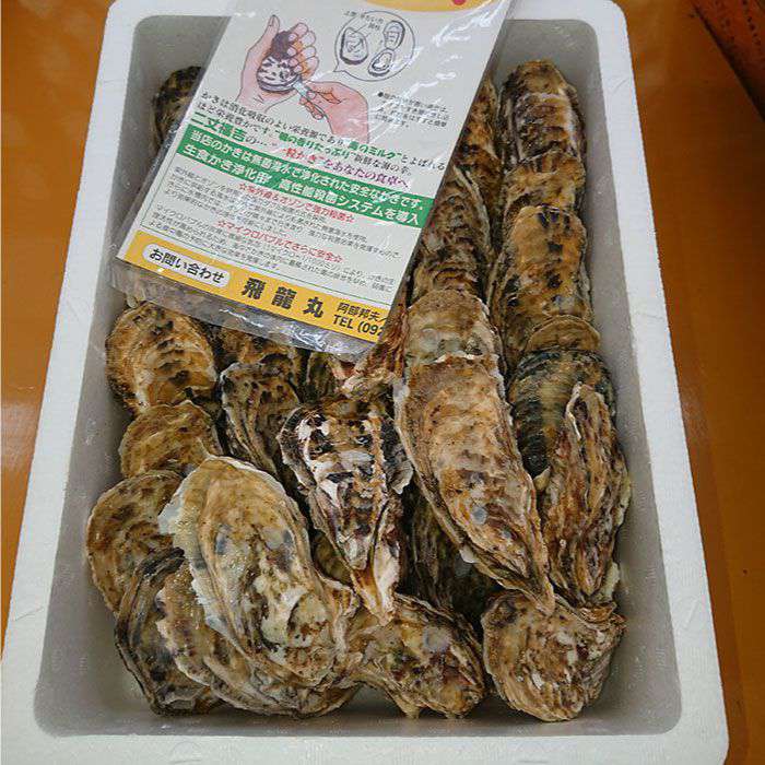 【ふるさと納税】加熱用 福吉の牡蠣 3kg 殻付き (簡易ナイフ付き) 牡蛎 カキ 糸島市 / 飛龍丸 [AZB002] サムネイル3