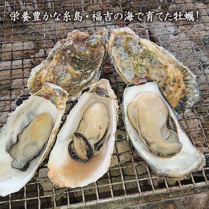 【ふるさと納税】加熱用 福吉の牡蠣 2kg 殻付き (簡易ナイフ付き) 牡蛎 カキ 糸島市 / 飛龍丸 [AZB004] 11000円 サムネイル2
