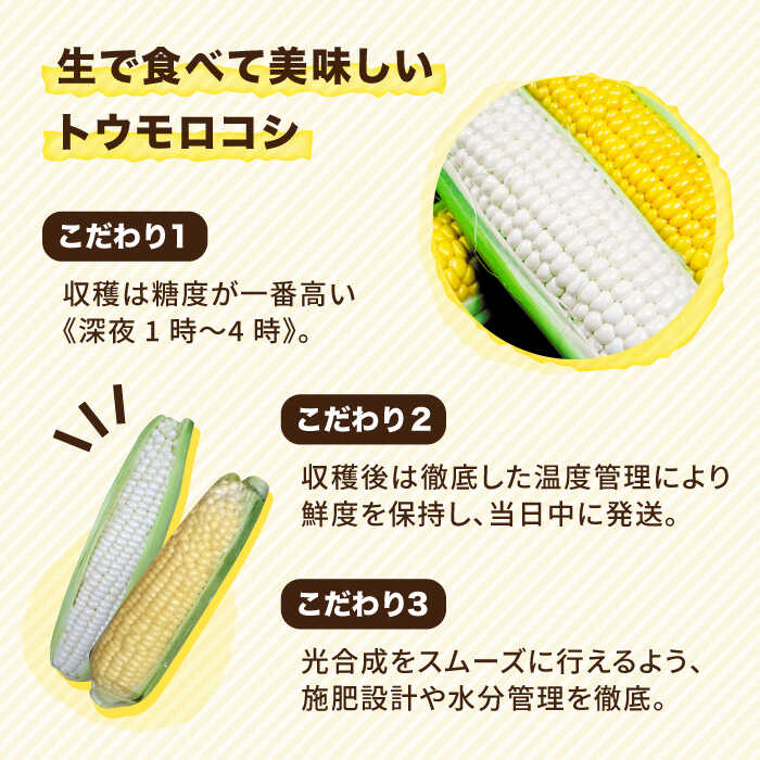 【ふるさと納税】【先行予約】糸島トウモロコシ『もきっこ』 白黄ミックス （10本前後）【2026年6月下旬以降順次発送】《糸島市》【内田農業】[AZH003] とうもろこし 野菜 やさい コーン スイートコーン 12000円 1万2千円 サムネイル2