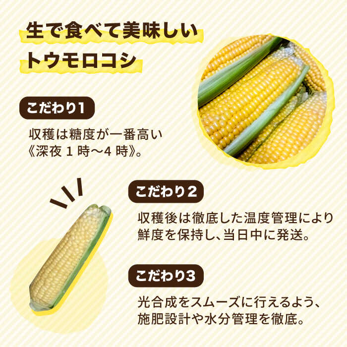 【ふるさと納税】【先行予約】糸島産 トウモロコシ 「もきっこ」 黄 (5本前後) 【2026年6月下旬以降順次発送】糸島市 / 内田農業 [AZH004] とうもろこし コーン 8000円 8千円 - 画像2