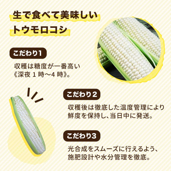 【ふるさと納税】【先行予約】糸島産 トウモロコシ 「もきっこ」 白 (5本前後) 【2026年6月下旬以降順次発送】糸島市 / 内田農業 [AZH005] とうもろこし コーン 8000円 8千円 - 画像2