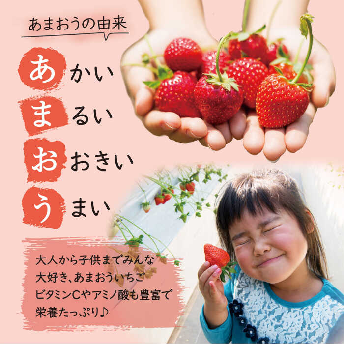【ふるさと納税】【先行予約】 あまおう いちご 1,620g ( 約 270g × 6パック )【2026年3月初旬より順次発送】 糸島市 / 株式会社HSP-テクノ [AZL002] グランデ等級 福岡県産 15000円 サムネイル3