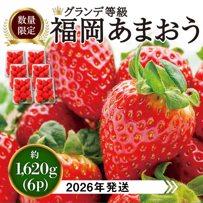 【先行予約】 あまおう いちご 1,620g ( 約 270g × 6パック )【2026年3月初旬より順次発送】 糸島市 / 株式会社HSP-テクノ [AZL002] グランデ等級 福岡県産 15000円