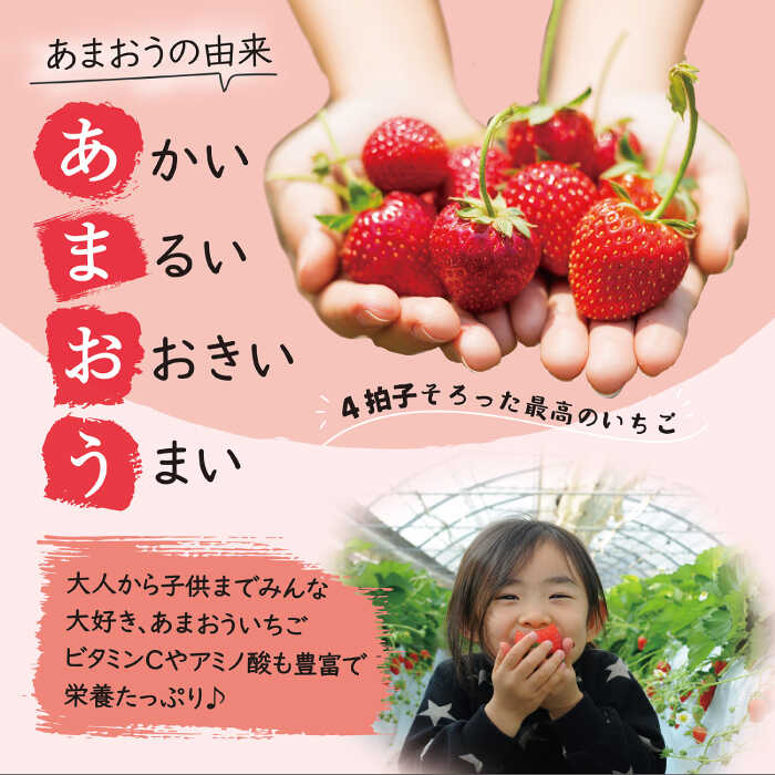 【ふるさと納税】【全2回定期便】 あまおう いちご 1,080g ( 約 270g × 4パック ) 【2026年発送】糸島市 / 株式会社HSP-テクノ [AZL005] グランデ 等級 福岡県 24000円 2万4千円 サムネイル3