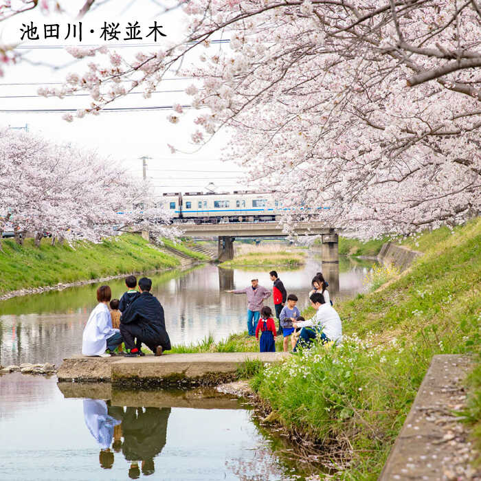 【ふるさと納税】福岡県糸島市の対象施設で使える楽天トラベルクーポン 寄付額 100, [AZY004] 100000円 10万円 - 画像2