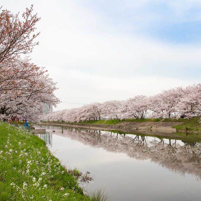 【ふるさと納税】福岡県糸島市の対象施設で使える楽天トラベルクーポン 寄付額 100, [AZY004] 100000円 10万円 - 画像3