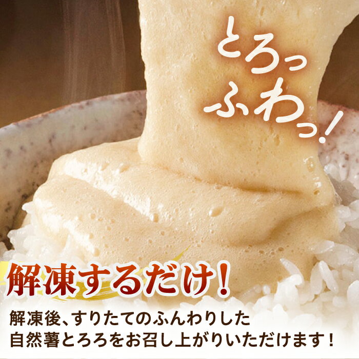 【ふるさと納税】【選べるお届け回数】味付け不要！本格 自然薯 とろろ （醤油味）55g×8個＜自然薯王国＞那珂川市 | 冷凍 とろろ 自然薯 健康 個包装 小分け とろろそば 人気 美味しい ランキング ごはん 定期便 夏バテ スタミナ 極上 国産 お中元 [GAH001] - 画像2