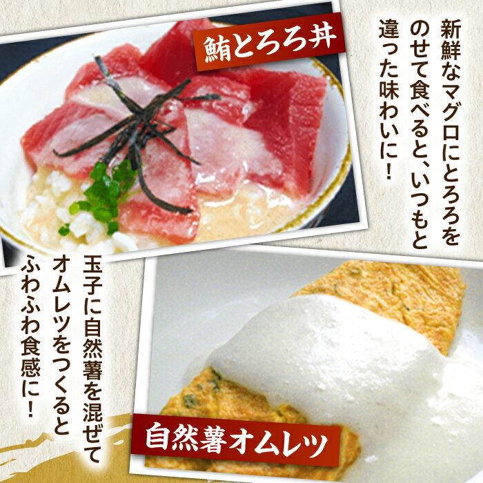 【ふるさと納税】【選べるお届け回数】味付け不要！本格 自然薯 とろろ （醤油味）55g×8個＜自然薯王国＞那珂川市 | 冷凍 とろろ 自然薯 健康 個包装 小分け とろろそば 人気 美味しい ランキング ごはん 定期便 夏バテ スタミナ 極上 国産 お中元 [GAH001] - 画像3