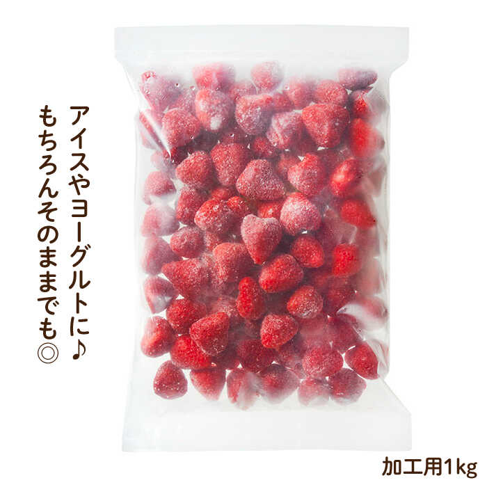 【ふるさと納税】【凍っても濃厚！】冷凍いちご 博多あまおう 1kg（加工用）＜やまや＞ 那珂川市 | 苺 冷凍いちご いちご あまおう フルーツ 果物[GAK019] 10000 10000円 1万円 以上 サムネイル2
