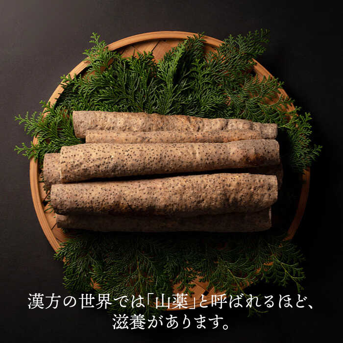 【ふるさと納税】【選び抜いた「粘り」と「香り」】 先行予約！自然薯 「九千部朱薯」600g〜650g（2本）＜株式会社九千部＞那珂川市 | [GAZ001] 10000 10000円 1万円 以上 - 画像2