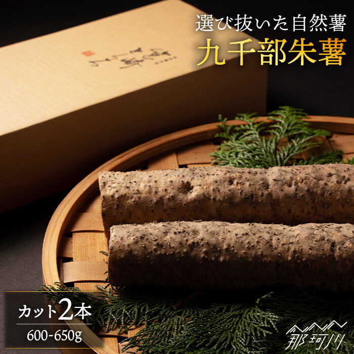 【選び抜いた「粘り」と「香り」】 先行予約！自然薯 「九千部朱薯」600g〜650g（2本）＜株式会社九千部＞那珂川市 | [GAZ001] 10000 10000円 1万円 以上
