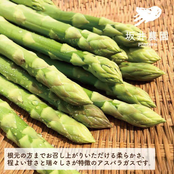 【ふるさと納税】3月上旬より発送！テレビで紹介！ サイズが豊富で食卓楽しい！アスパラガス 1kg＜坂井農園＞那珂川市 | 野菜 レシピ付き アスパラ アスパラガス 新鮮 おいしい 野菜 期間限定 旬野菜 アスパラガス [GBP001]10000 10000円 1万円 以上 - 画像2