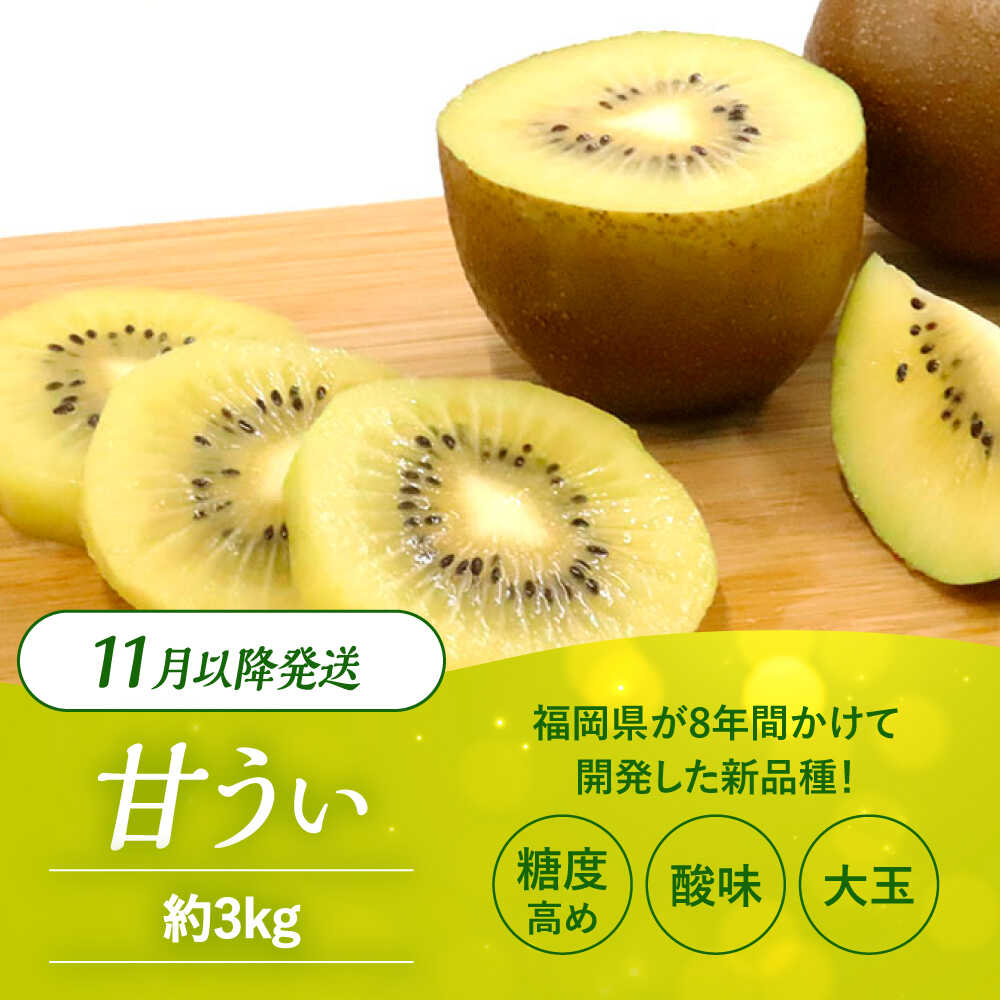 【ふるさと納税】【2025年11月以降発送】先行予約！高糖度で酸味控えめ！産地直送 キウイフルーツ「甘うぃ」 約3kg＜一般社団法人地域商社ふるさぽ＞那珂川市 | 果物 キウイ フルーツ 九州産 国産 人気 おすすめ ランキング 高評価 [GBX007] 10000 10000円 1万円 以上 サムネイル2