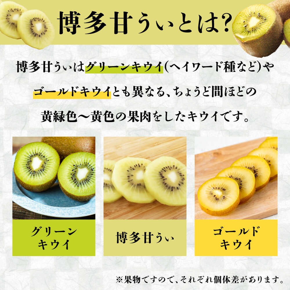 【ふるさと納税】【2025年11月以降発送】先行予約！高糖度で酸味控えめ！産地直送 キウイフルーツ「甘うぃ」 約3kg＜一般社団法人地域商社ふるさぽ＞那珂川市 | 果物 キウイ フルーツ 九州産 国産 人気 おすすめ ランキング 高評価 [GBX007] 10000 10000円 1万円 以上 サムネイル3