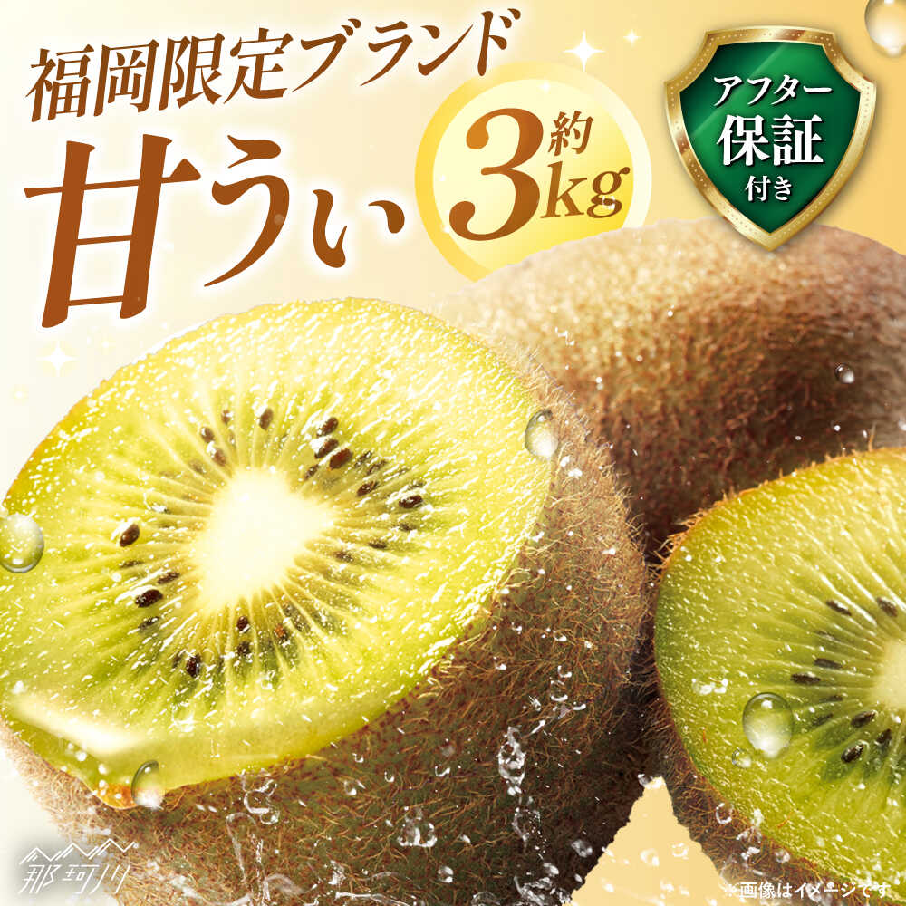 【2025年11月以降発送】先行予約！高糖度で酸味控えめ！産地直送 キウイフルーツ「甘うぃ」 約3kg＜一般社団法人地域商社ふるさぽ＞那珂川市 | 果物 キウイ フルーツ 九州産 国産 人気 おすすめ ランキング 高評価 [GBX007] 10000 10000円 1万円 以上