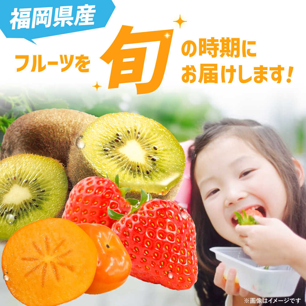 【ふるさと納税】【全3回定期便】九州・福岡もぎたて フルーツ定期便 B＜一般社団法人地域商社ふるさぽ＞那珂川市 | フルーツ 定期便 あまおう いちご フルーツ キウイフルーツ キウイ 果物 柿 定期便[GBX022] 40000 40000円 4万円 サムネイル2