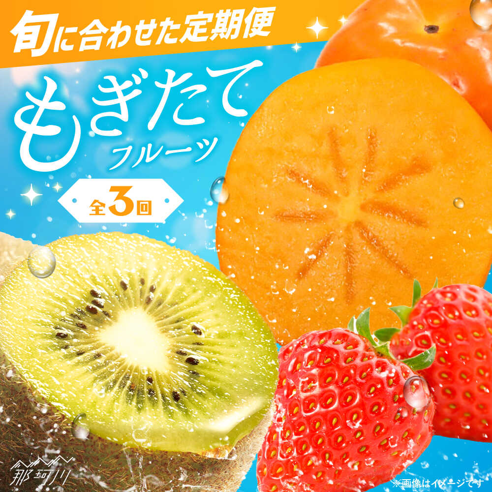 【全3回定期便】九州・福岡もぎたて フルーツ定期便 B＜一般社団法人地域商社ふるさぽ＞那珂川市 | フルーツ 定期便 あまおう いちご フルーツ キウイフルーツ キウイ 果物 柿 定期便[GBX022] 40000 40000円 4万円