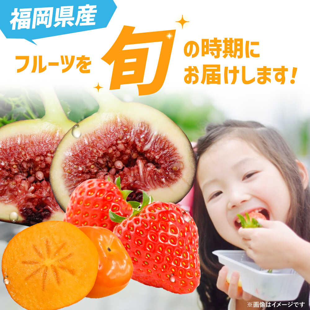 【ふるさと納税】【全3回定期便】九州・福岡もぎたて フルーツ定期便 C＜一般社団法人地域商社ふるさぽ＞那珂川市 | [GBX023] 40000 40000円 4万円 サムネイル2