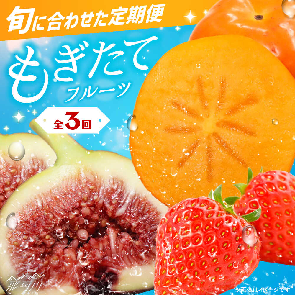 【全3回定期便】九州・福岡もぎたて フルーツ定期便 C＜一般社団法人地域商社ふるさぽ＞那珂川市 | [GBX023] 40000 40000円 4万円