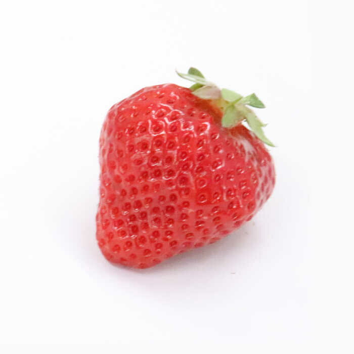 【ふるさと納税】【2026年3月中旬〜発送】【 訳あり 】福岡ブランド いちご「あまおう」約270g×6パック＜一般社団法人地域商社ふるさぽ＞ 那珂川市 | いちご フルーツ くだもの 果物 あまおう 九州産 苺 国産 [GBX048] 20000 20000円 2万円 以下 サムネイル3