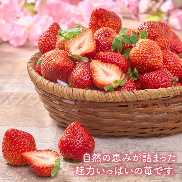 【ふるさと納税】【2月上旬より発送】先行予約！福岡産 いちご 【春】あまおう 6パック＜南国フルーツ株式会社＞ 那珂川市 いちご フルーツ くだもの 果物 あまおう 九州産 苺 国産 [GCD010] 20000 20000円 2万円 以下 サムネイル2