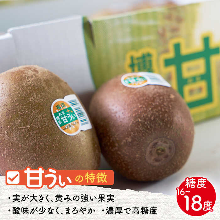 【ふるさと納税】【10月下旬より発送】先行予約 福岡産ブランドキウイ 甘うぃ 約1.5kg（12-15玉）＜南国フルーツ株式会社＞那珂川市 | [GCD025] 10000 10000円 1万円 以上 サムネイル2