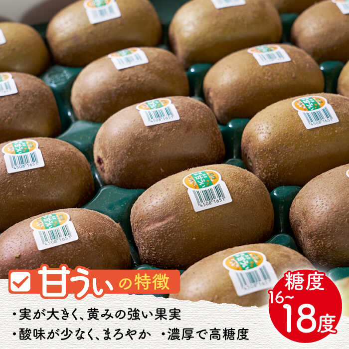 【ふるさと納税】【10月下旬より発送】先行予約 福岡産ブランドキウイ 甘うぃ 約1.5kg（12-15玉）＜南国フルーツ株式会社＞那珂川市 | [GCD025] 10000 10000円 1万円 以上 サムネイル3