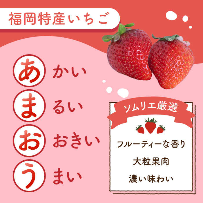 【ふるさと納税】【全2回定期便】福岡産 いちご【春】あまおう 4パック＜南国フルーツ株式会社＞那珂川市 | 定期便 フルーツ 果物 いちご 苺 イチゴ あまおう 定期便 福岡産 [GCD043] 20000 20000円 2万円 以上 サムネイル3