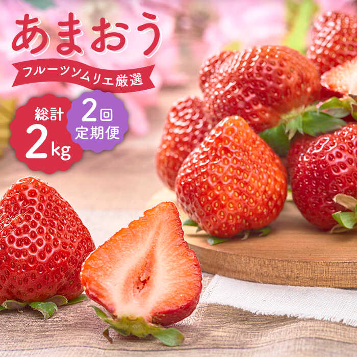 【全2回定期便】福岡産 いちご【春】あまおう 4パック＜南国フルーツ株式会社＞那珂川市 | 定期便 フルーツ 果物 いちご 苺 イチゴ あまおう 定期便 福岡産 [GCD043] 20000 20000円 2万円 以上