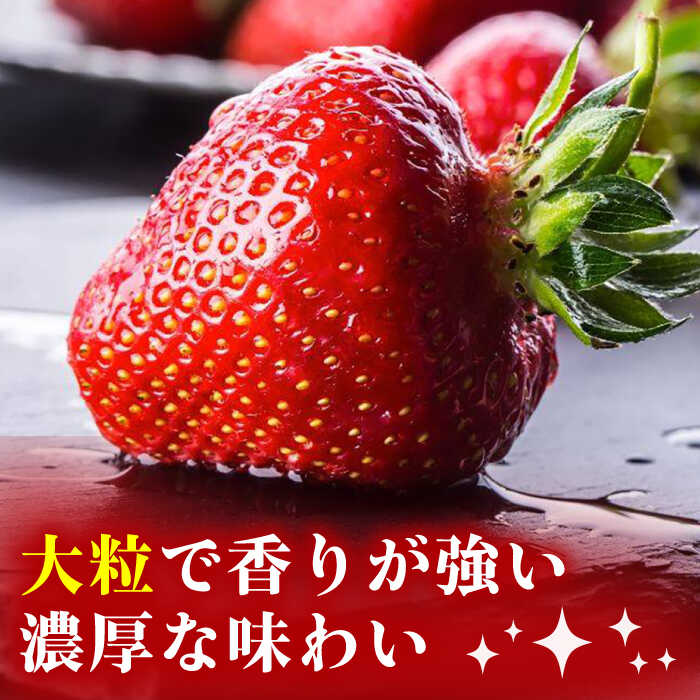【ふるさと納税】【2026年2月上旬より発送】先行予約！農家直送 朝採り新鮮いちご【博多あまおう】約270g×2＜株式会社H&Futures＞ 那珂川市 いちご フルーツ くだもの 果物 あまおう 九州産 苺 国産 [GDS003] 9000 9000円 9千円 サムネイル3