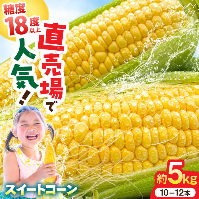 【先行予約 2026年5月末より発送】朝採れ スイートコーン 約5kg（10~12本入り）生産者よりお届け 数量限定 とうもろこし ＜ちくし農園＞那珂川市 | トウモロコシ 野菜 産地直送 採れたて もろこし 野菜 BBQ 甘い 期間限定 [GDU001] 10000 10000円 1万円 以上