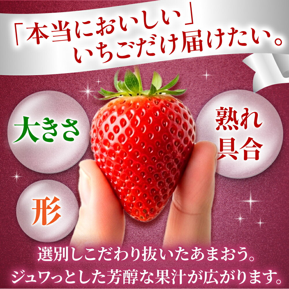 【ふるさと納税】【選べる容量&お届け時期】『自然環境農法』で育てた福岡県産 あまおう 2パック or 4パック （1p約285g）＜おおきべりー株式会社＞ 那珂川市 | いちご フルーツ イチゴ 期間限定 くだもの 果物 あまおう 九州産 苺 国産 [GZE001] 10000 10000円 1万円 以上 サムネイル2