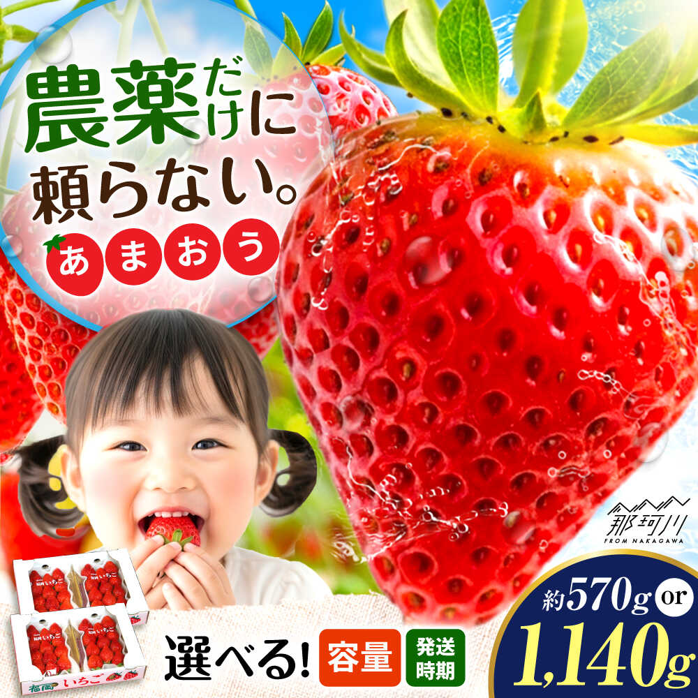 【選べる容量&お届け時期】『自然環境農法』で育てた福岡県産 あまおう 2パック or 4パック （1p約285g）＜おおきべりー株式会社＞ 那珂川市 | いちご フルーツ イチゴ 期間限定 くだもの 果物 あまおう 九州産 苺 国産 [GZE001] 10000 10000円 1万円 以上