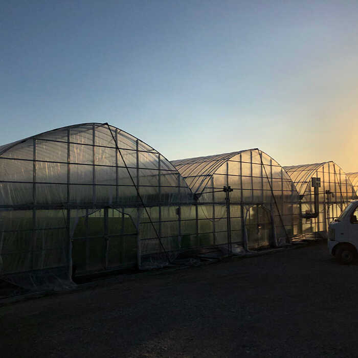 【ふるさと納税】【全3回定期便】2026年1〜3月発送『自然環境農法』で育てた福岡県産あまおう約285g×2パック＜おおきべりー株式会社＞ 那珂川市 定期便 いちご フルーツ くだもの 果物 あまおう 九州産 苺 イチゴ あまい 国産 [GZE003] 40000 40000円 4万円 以下 サムネイル3