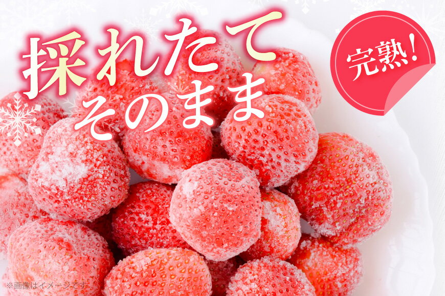 【ふるさと納税】 【先行受付】 いちご 冷凍 選べる 量 あまおう 完熟 2kg 3.5kg [ストロベリーファーム 福岡県 宇美町 um40azp070004] 先行予約 イチゴ 苺 フルーツ 冷凍フルーツ 冷凍いちご 冷凍苺 冷凍イチゴ 果物 果実 甘い あまい サムネイル2
